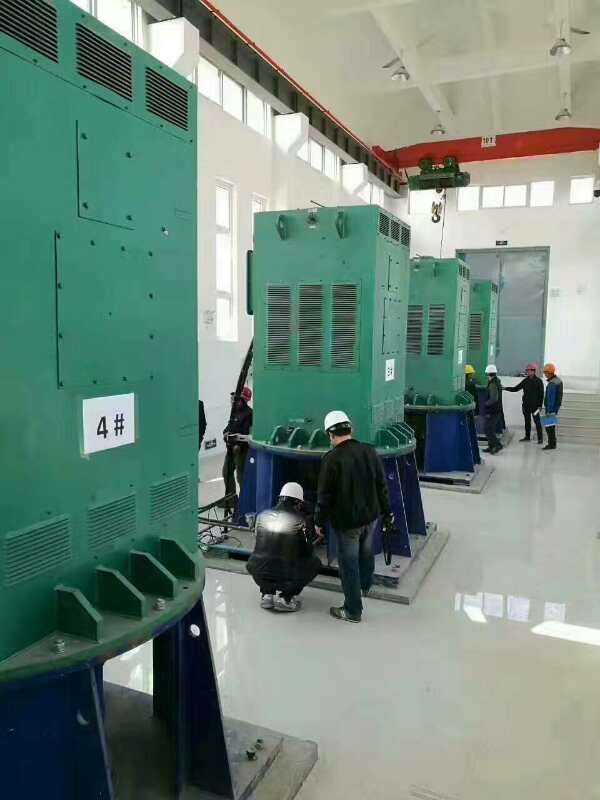 台山某污水处理厂使用我厂的立式高压电机安装现场