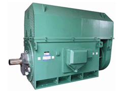 台山Y系列6KV高压电机